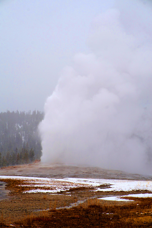 Old Faithful geyser, Yellowstone National Park, USA