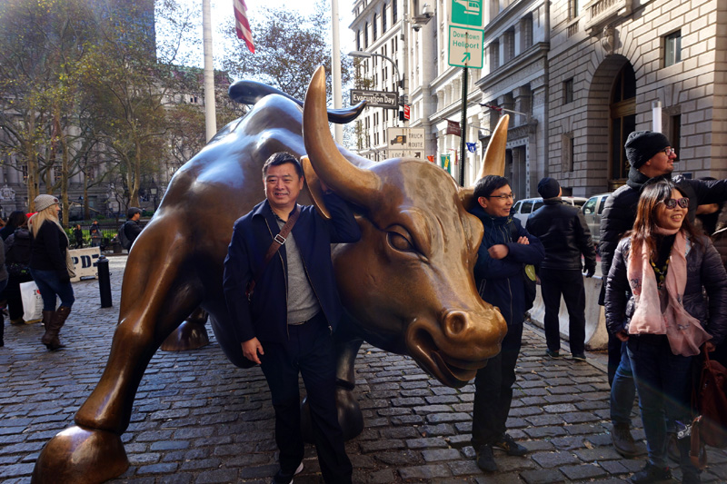 Charging bull, New York City, USA