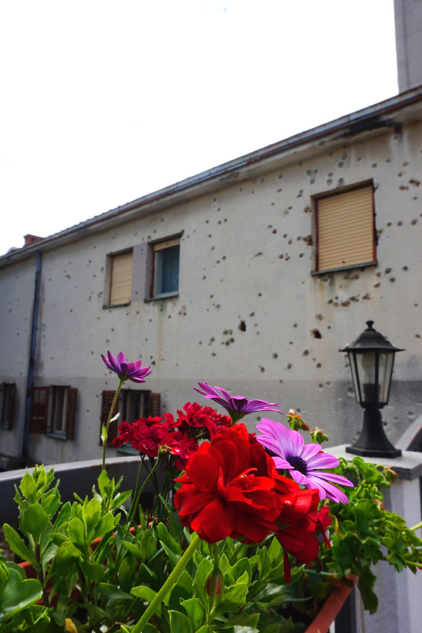 Bullet hole building with flowers, Mostar, Bosnia & Herzegovina