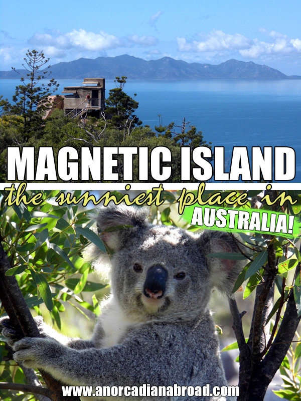 Magnetic Island - the sunniest place in Australia, and one of the best places to see wild koalas!