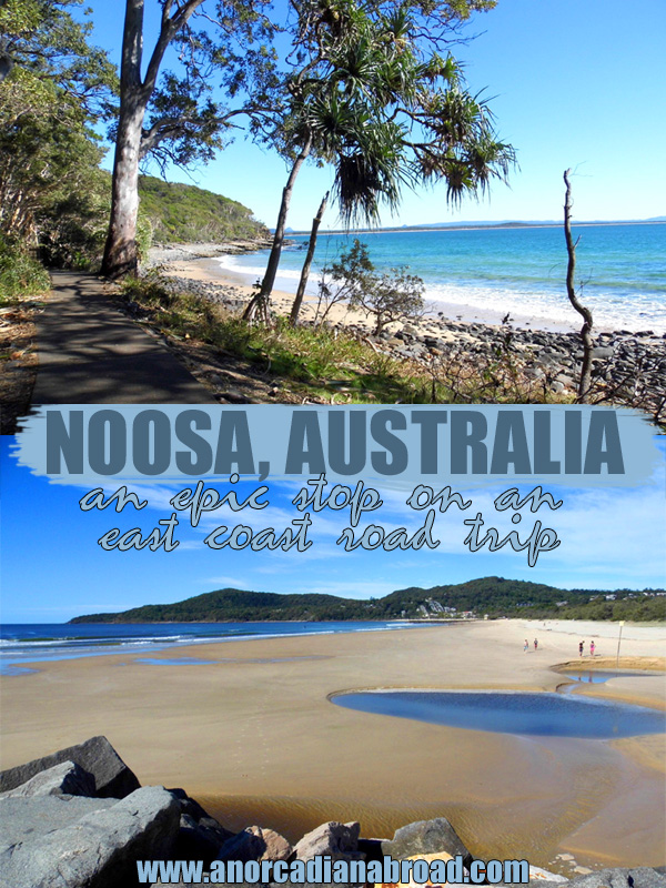 Starting Our Australian East Coast Road Trip In Noosa