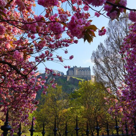 Photo Friday: Glasgow Street Art & Mural Trail