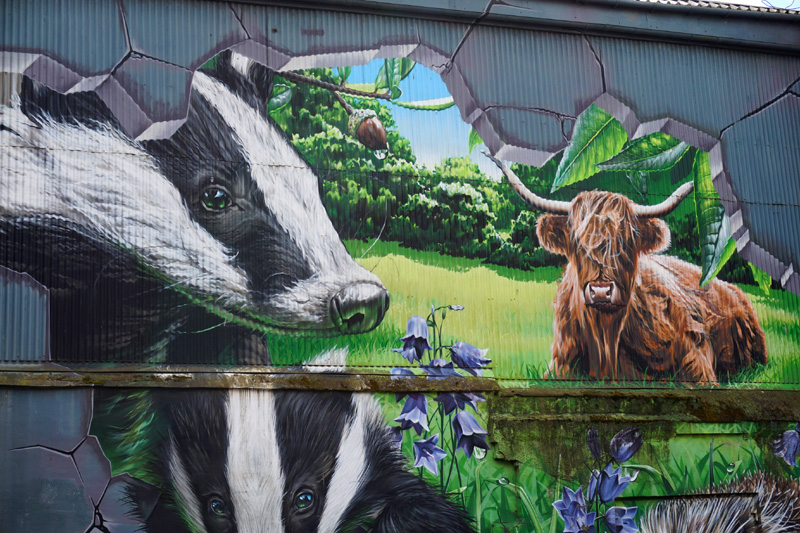 Badger & highland cow street art, Glasgow, Scotland