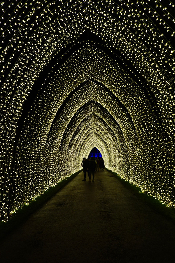 Christmas at the Botanics, Edinburgh