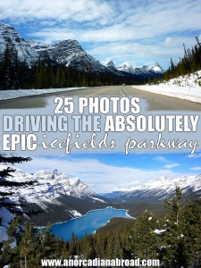 25 Photos Driving The Absolutely Epic Icefields Parkway, Canada