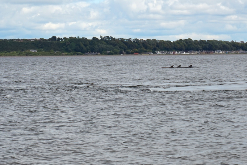Chanonry Point, Black Isle, Scotland
