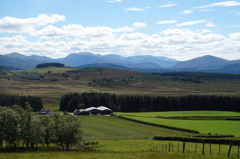 Cairngorms, Scotland