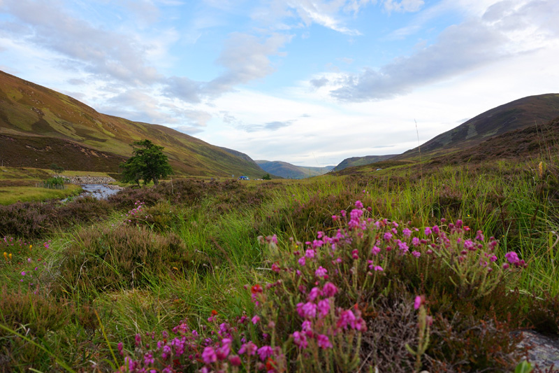 Braemar, Cairngorms, Aberdeenshire, Scotland
