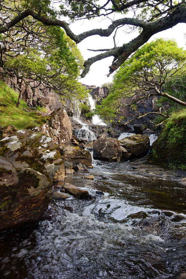 Eas Fors Waterfall, Isle Of Mull, Scotland