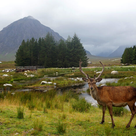 Post-Lockdown Adventures: 4 Weekend Trips In Scotland