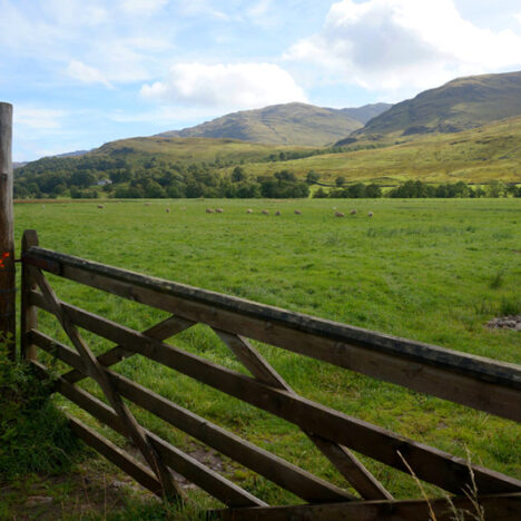 Photo Friday: Autumn Is So Beauti-fall In Perthshire