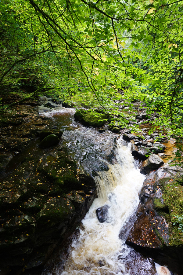 Birks Of Aberfeldy, Scotland