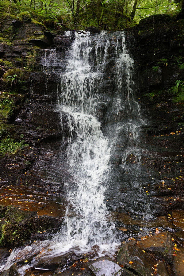 Birks Of Aberfeldy, Scotland