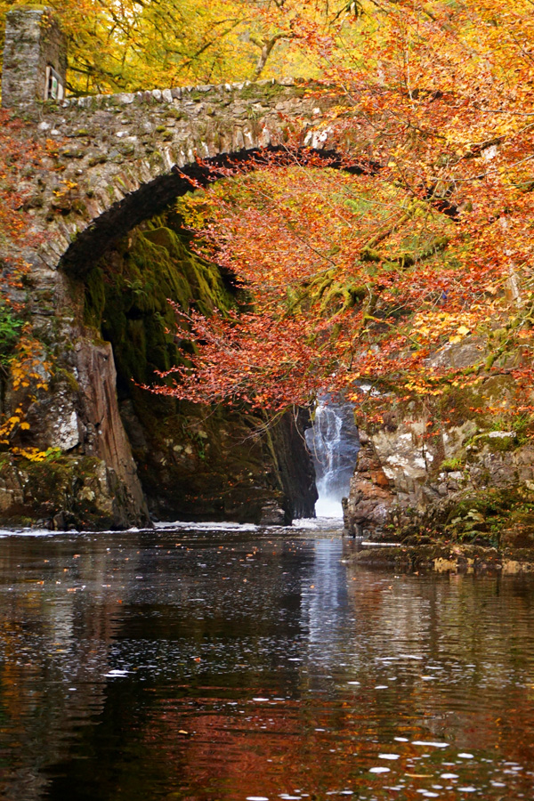 Autumn fall colours in Perthshire, Scotland
