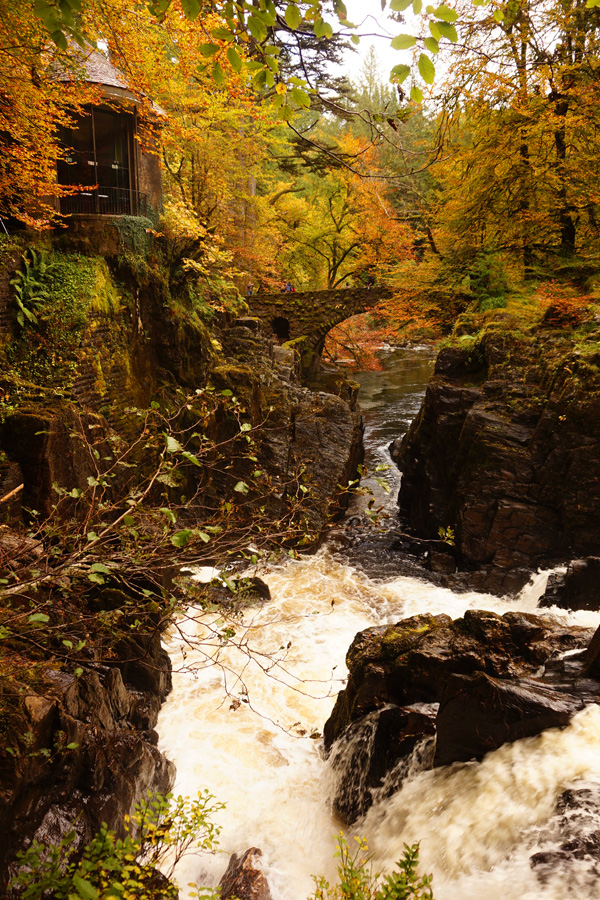 Autumn fall colours in Perthshire, Scotland