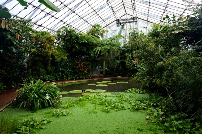 Royal Botanic Garden glasshouse, Edinburgh, Scotland