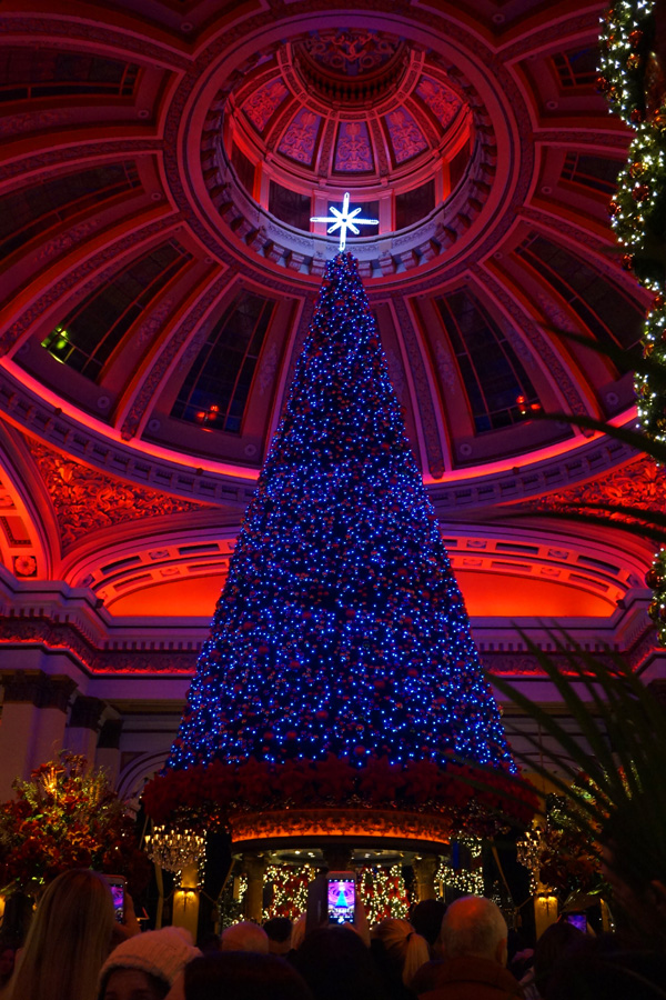 Christmas tree in The Dome, Edinburgh, Scotland