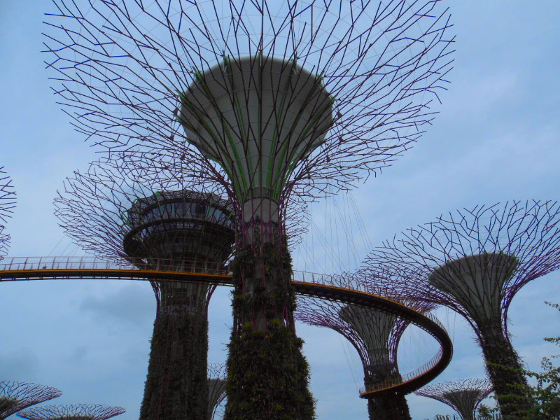Gardens By The Bay, Singapore