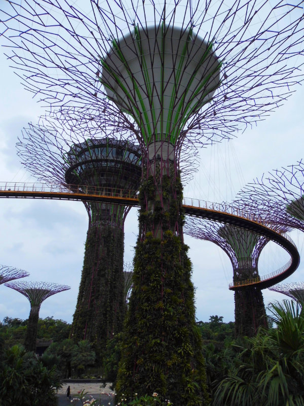 Gardens By The Bay, Singapore
