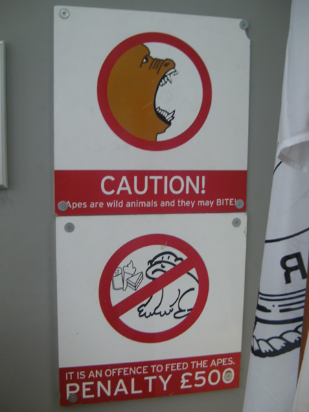 Ape warning sign, Gibraltar