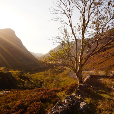 Edinburgh’s 10 Best Walks & Where To Find Them