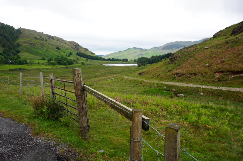 View across to Blea Tarn, Lake District, England