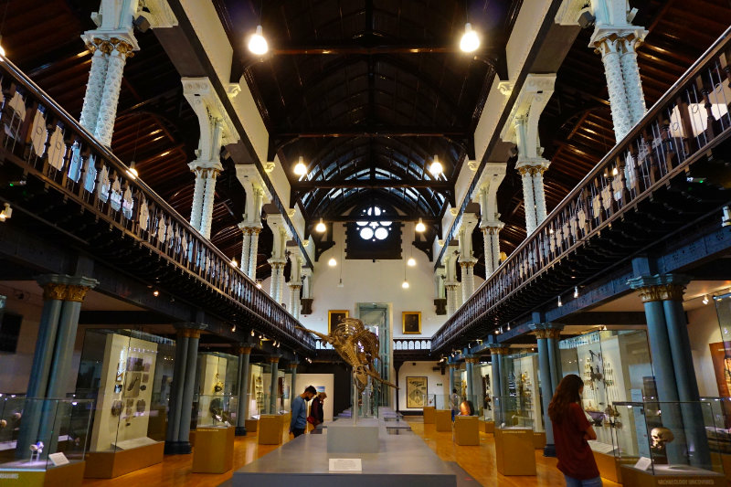 Hunterian Museum, Glasgow, Scotland