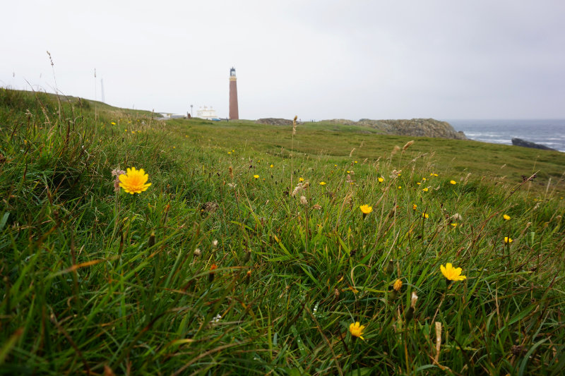 Butt Of Lewis, Isle Of Lewis, Scotland