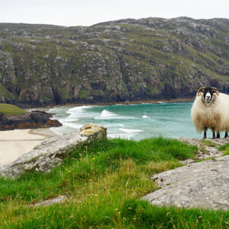 Photo Friday: The Incredible Beaches Of Lewis & Harris