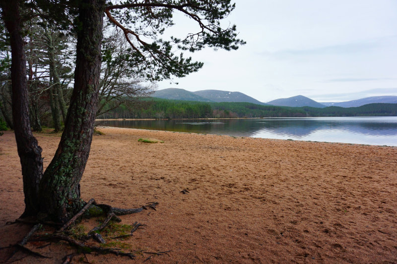 Loch Morlich, Aviemore, Scotland