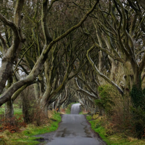 History Lessons, Boats & Beers In Belfast: A Fantastic UK Getaway