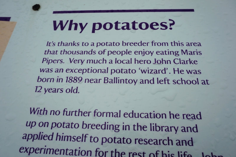 Potatoes sign, Northern Ireland