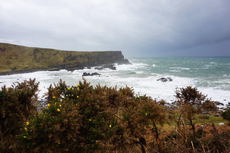 Walk to Giant's Causeway, Northern Ireland