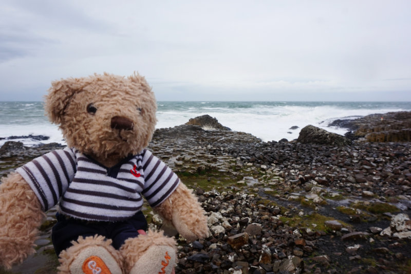Gulliver the travel mascot teddy bear at Giant's Causeway, Northern Ireland