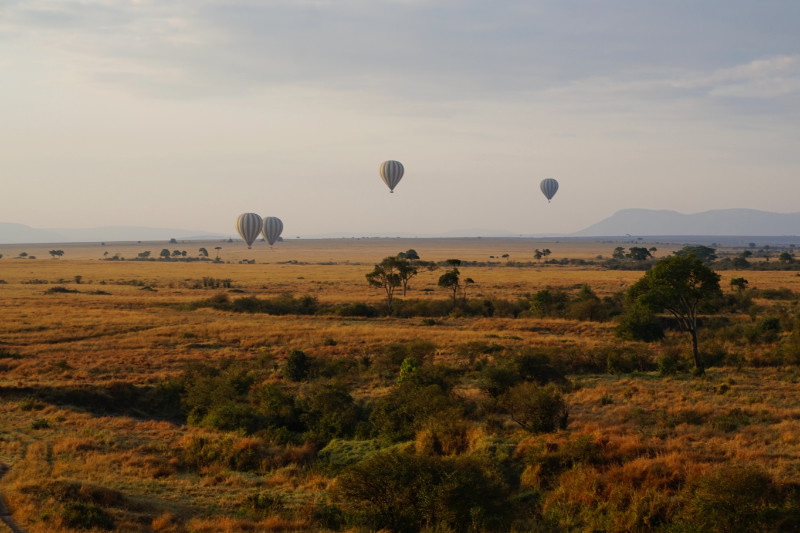 Hot air balloon at sunrise, Maasai Mara, Kenya