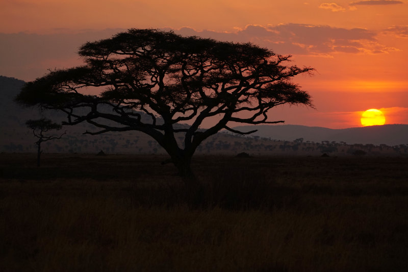 Serengeti sunset, Tanzania