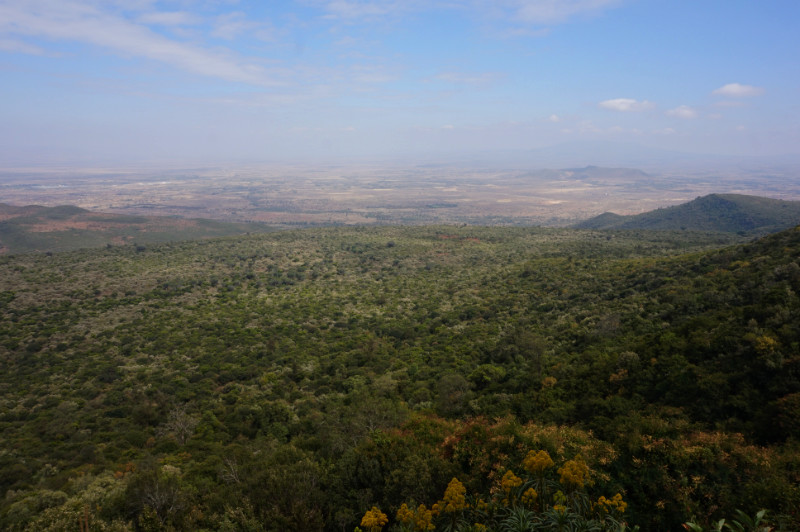 Rift Valley view, Kenya