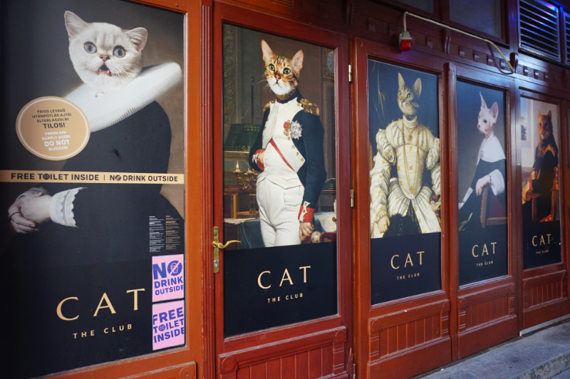 Cat The Club, Budapest, Hungary