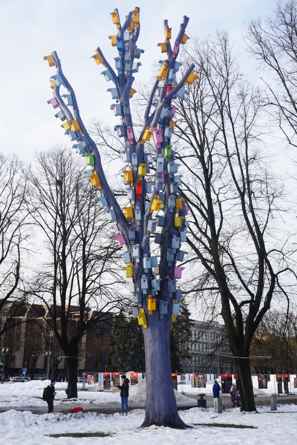 Weird bird box tree, Riga, Latvia