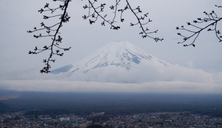 Mount Fuji in Japan, framed by part of a tree, with a string of cloud along the middle of the mountain and a clear view of the city below.