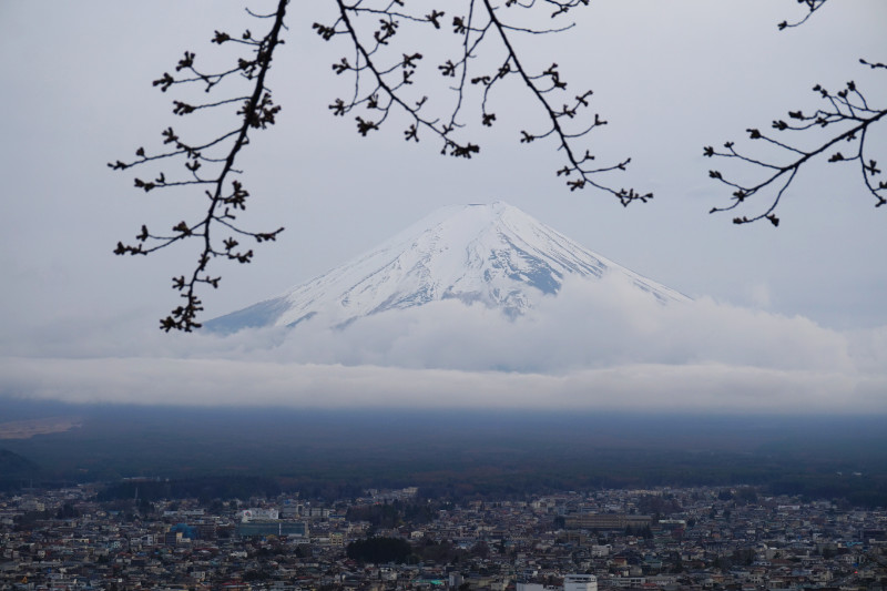 Mount Fuji in Japan, framed by part of a tree, with a string of cloud along the middle of the mountain and a clear view of the city below.