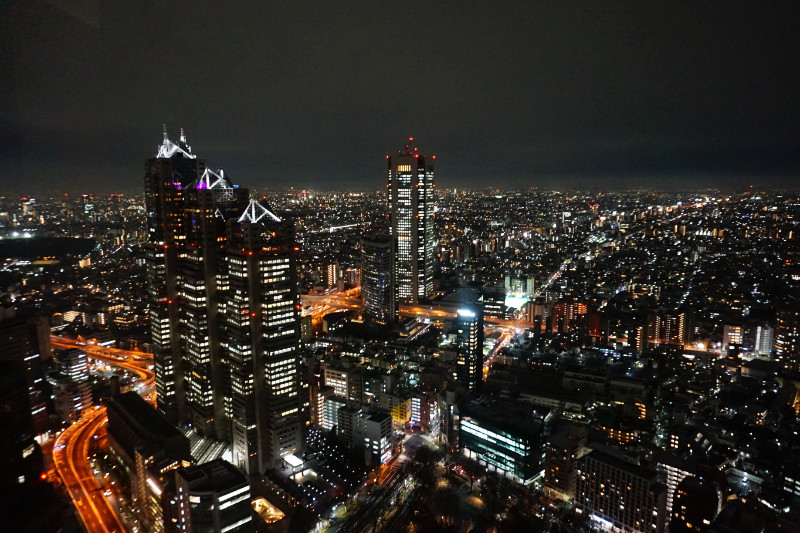 View from the Metropolitan Government Building, Tokyo, Japan
