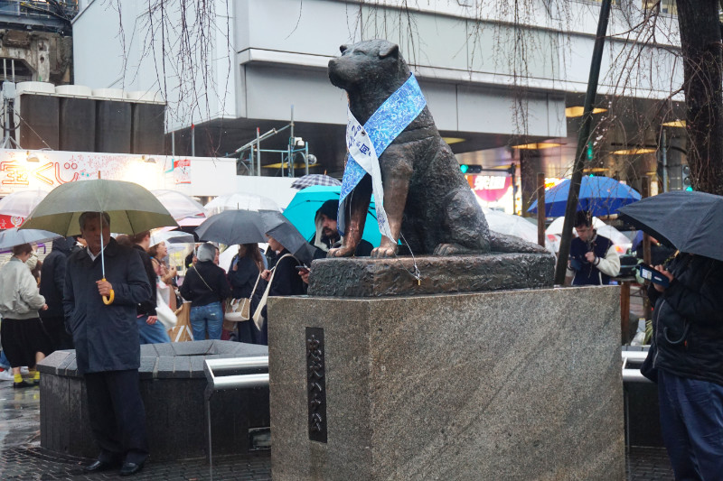 Hachiko statue, Shibuya, Japan