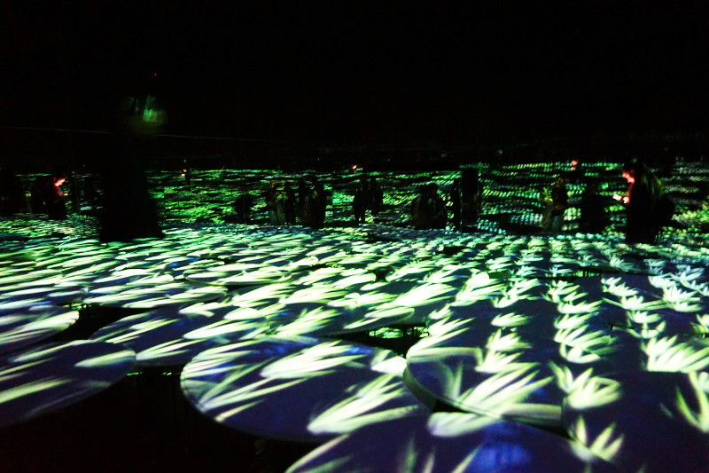 Flower meadow room, TeamLab Borderless, Tokyo, Japan