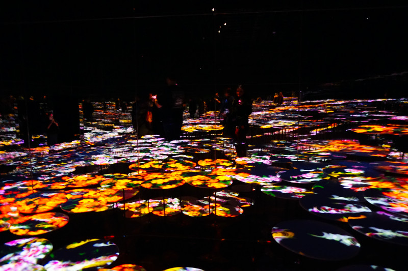 Flower meadow room, TeamLab Borderless, Tokyo, Japan
