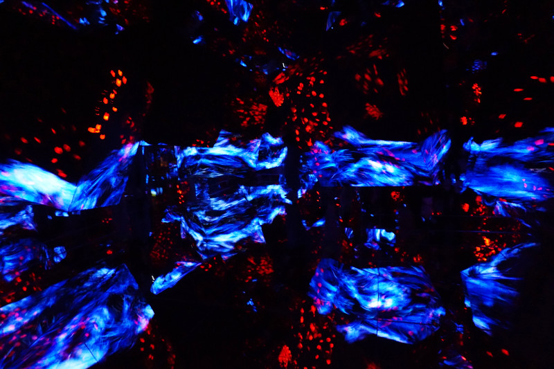Artwork, TeamLab Borderless, Tokyo, Japan