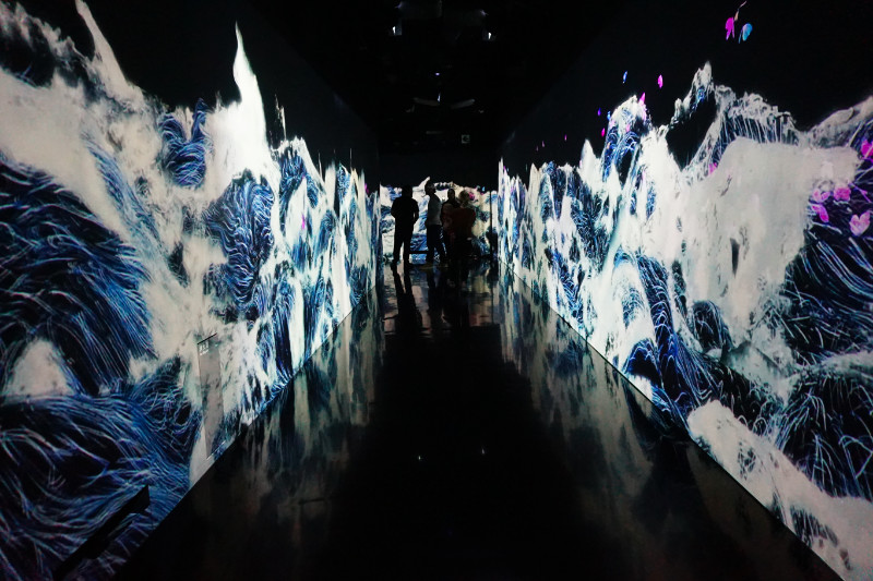 Waves in the corridor, TeamLab Borderless, Tokyo, Japan