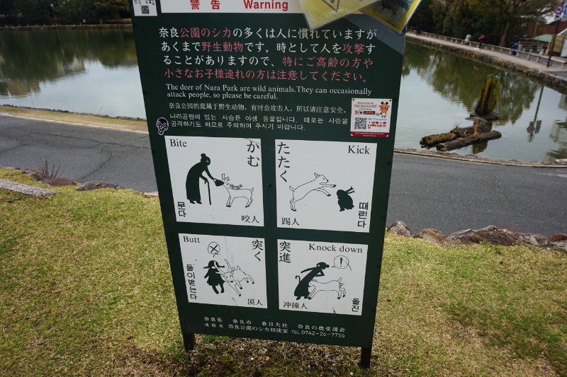 Deer warning sign, Nara, Japan