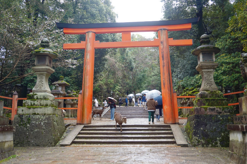 A red torii gate at Kasuga Taisha shrine, Nara, Japan