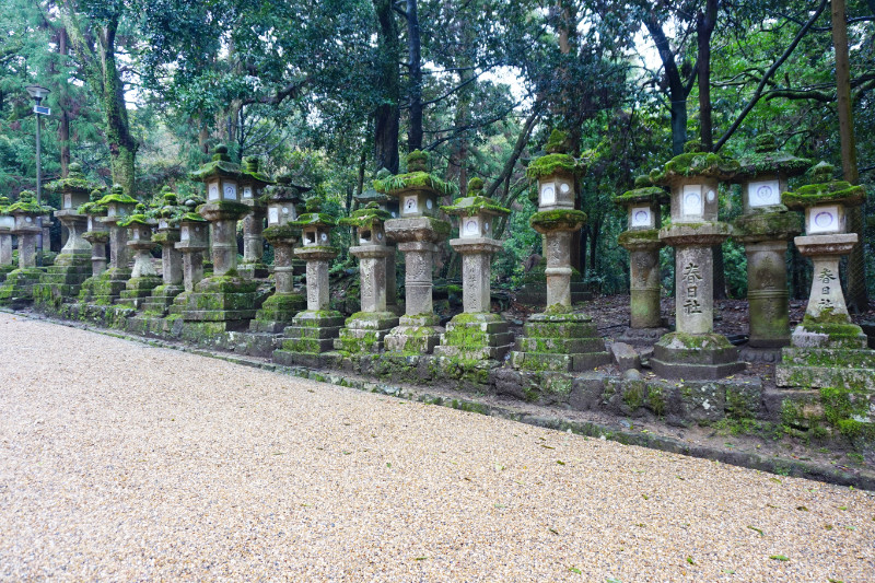 Towards the entrance of Kasuga Taisha shrine, Nara, Japan